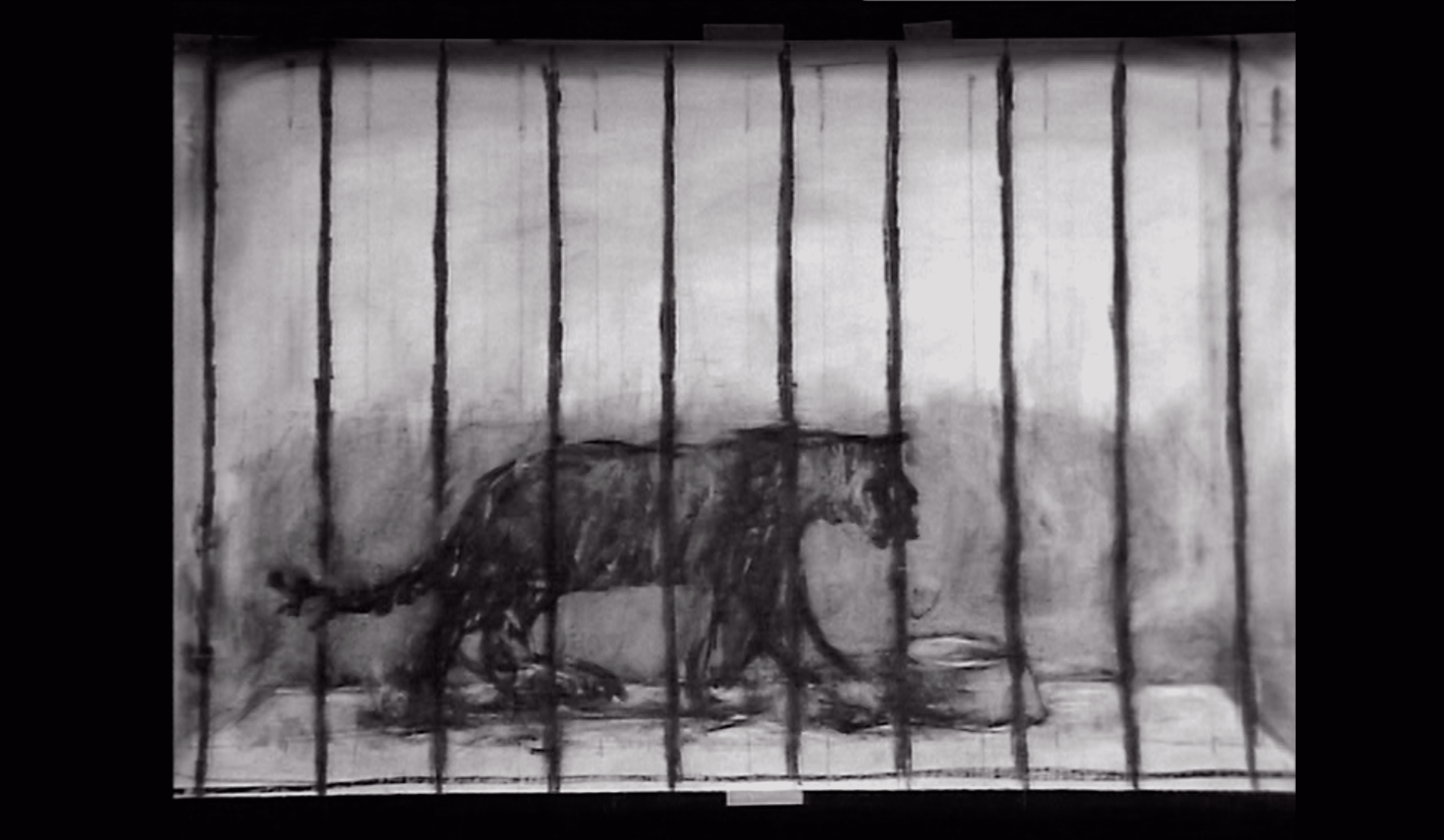 WILLIAM KENTRIDGE | SprigionArti | Procida, Palazzo d'Avalos
