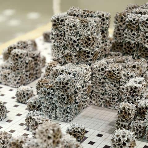 MICHELE GUIDO&MARZIA MIGLIORA | Terra animata. Visioni tra arte e natura in Italia (1964-2023) | Mattatoio, Rome - from March 30 through August 27, 2023