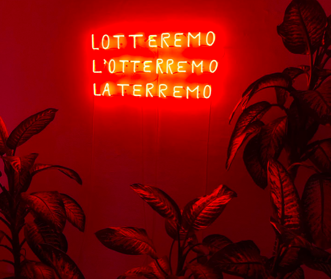 DOMENICO ANTONIO MANCINI | Solo show "SEI DIEFFENBACHIA" | Spazio SCONFINA, Milano