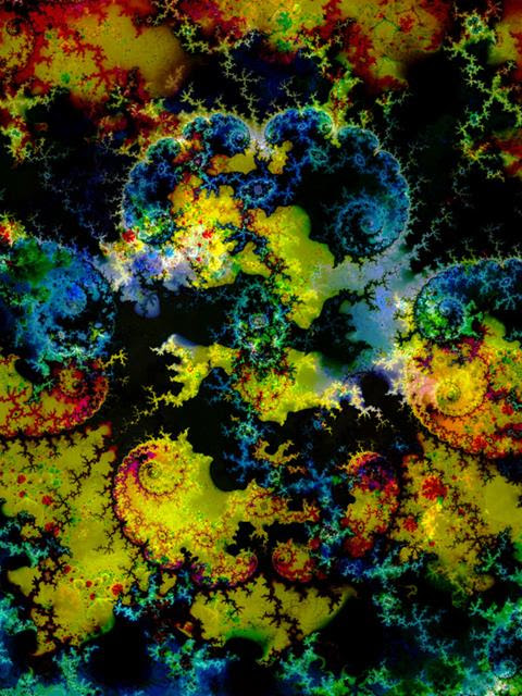 THOMAS RUFF | Solo show | Flying Carpets | National Museum of Art of Romania, Bucharest