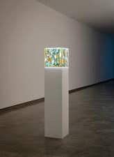 AGNIEZSKA KURANT | Data Dreams: Art and AI | Group Show | MCA, Sydney, Australia