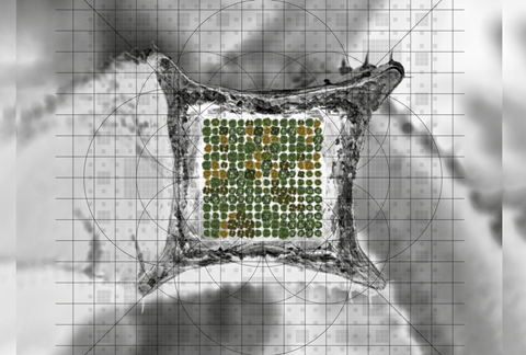 MICHELE GUIDO | Giardino Project | Seme • Pianta • Fiore • Frutto | Trepuzzi - Otranto, Italy