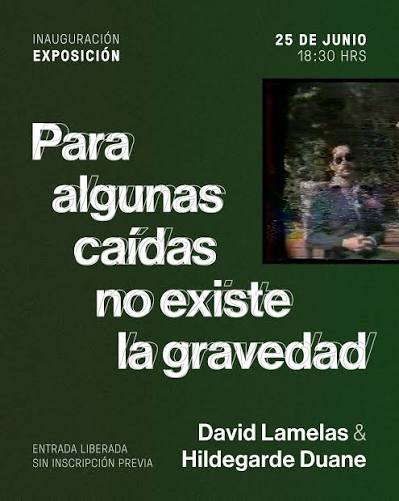 DAVID LAMELAS E HILDEGARDE DUANE | Para algunas caídas no existe la gravedad | Museo de la Memoria y los Derec hos Humanos | Santiago, Chile